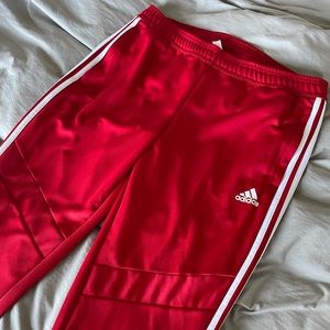Adidas Pants